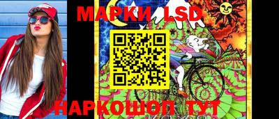 амф Дубна