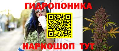 амф Дубна