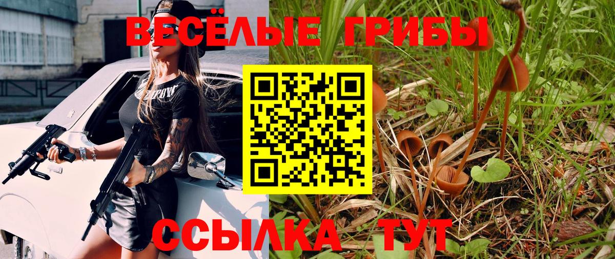 Псилоцибиновые грибы Psilocybine cubensis Зеленокумск