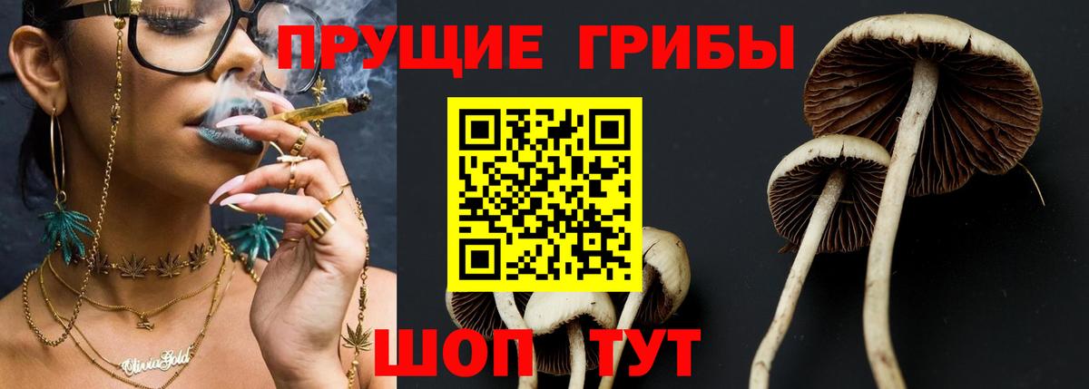 Псилоцибиновые грибы Psilocybine cubensis  наркота  Зеленокумск  Псилоцибиновые грибы Cubensis  Вход с VPN 